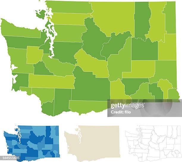 stockillustraties, clipart, cartoons en iconen met washington county map - staat washington