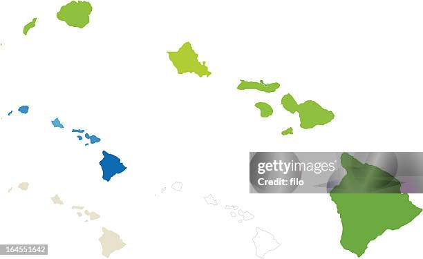 hawaii county map - hawaii islands stock illustrations