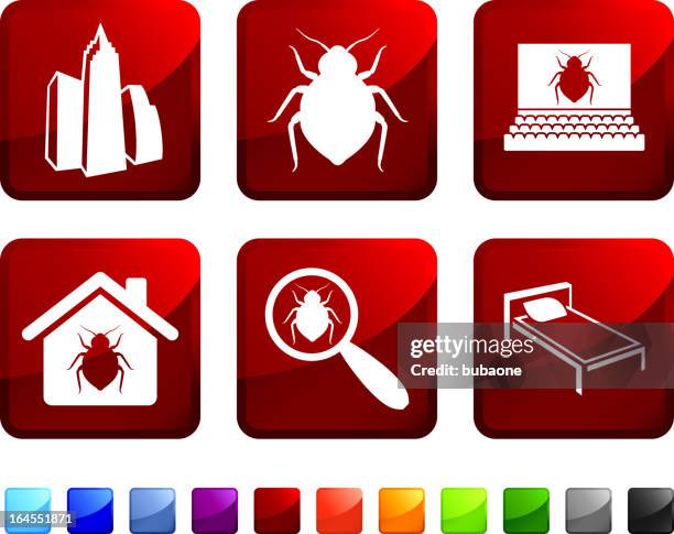 bedbug epidemic royalty free vector icon set - bed bug white background stock illustrations