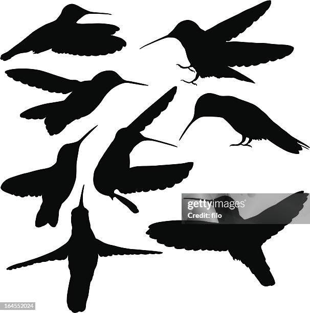 hummingbirds - hummingbird stock illustrations