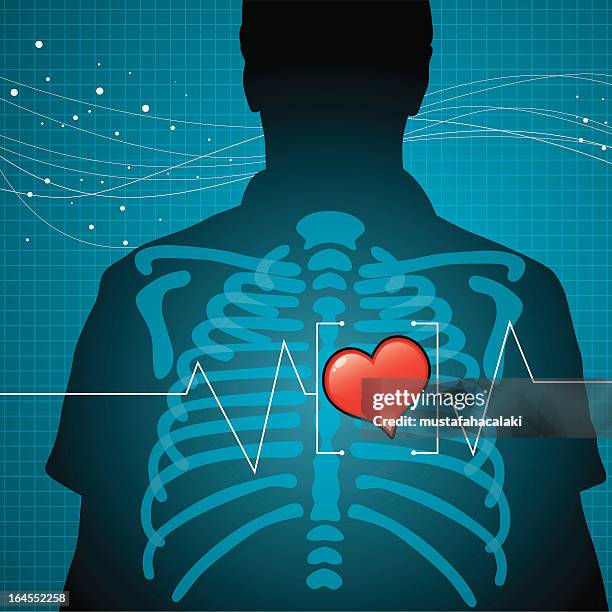 heart health - human rib cage stock illustrations