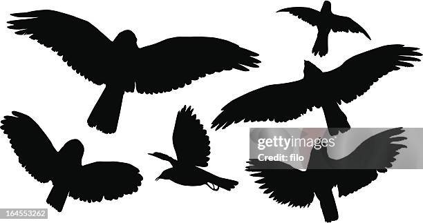 flying bird silhouettes - crow bird 幅插畫檔、美工圖案、卡通及圖標