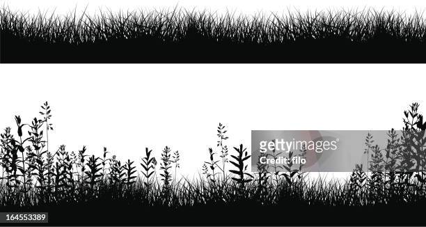 grassy field border silhouettes - uncultivated stock illustrations