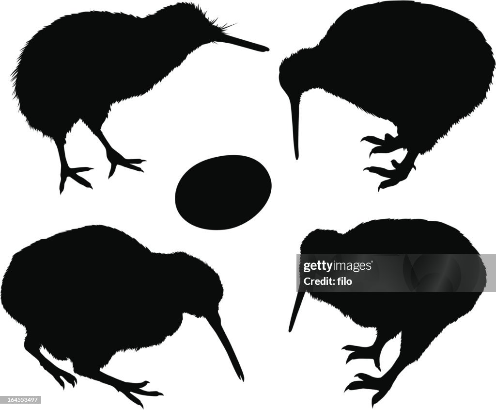 Kiwi Bird Silhouettes