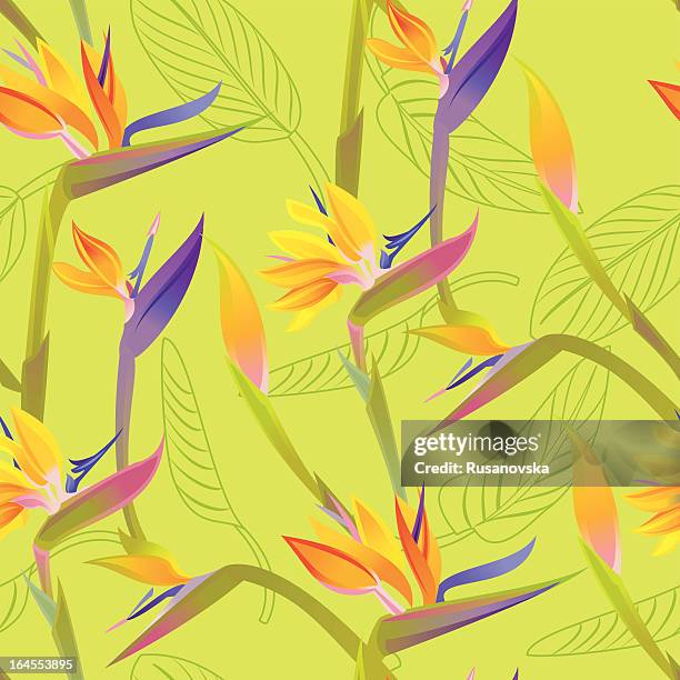 bird of paradise pattern - banana leaf print stock illustrations
