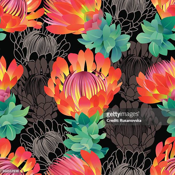 protea pattern (black) - protea stock illustrations