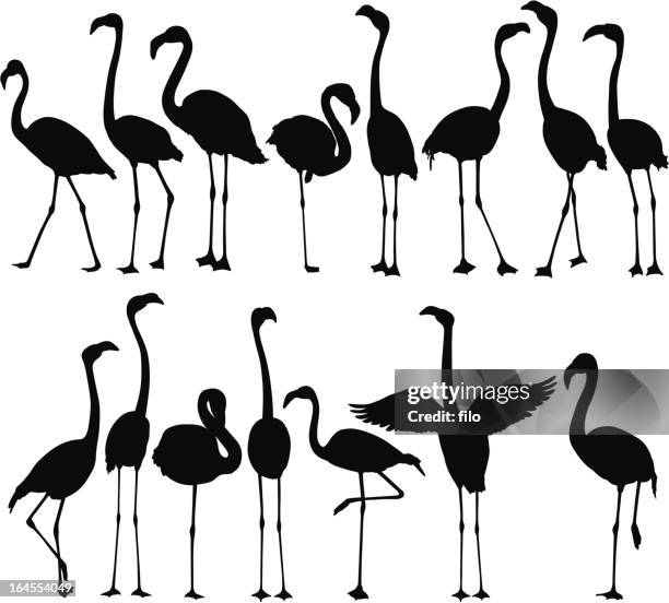 flamingo-silhouetten - flamingo stock-grafiken, -clipart, -cartoons und -symbole