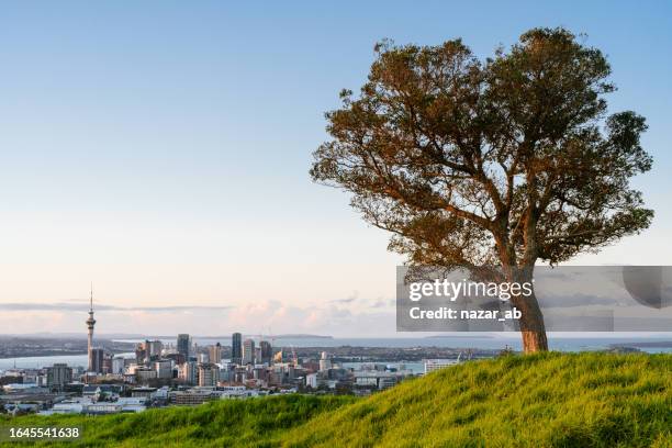 auckland city skyline. - auckland stockfoto's en -beelden