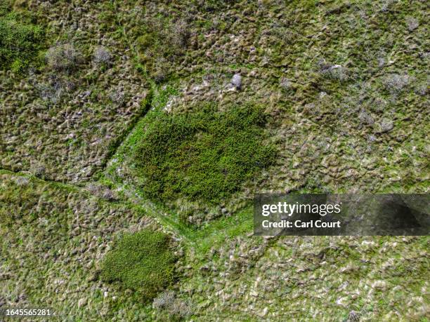 An area of thick undergrowth is roped off on Longis Common, believed to be the site of mass graves for prisoners executed or worked to death by the...