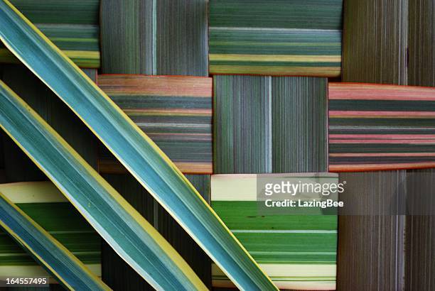 colorful stripes make up a harakeke background - 毛利人 個照片及圖片檔