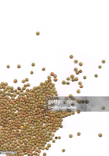 brown lentils - lentils stock pictures, royalty-free photos & images