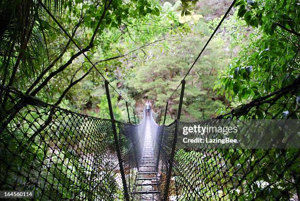 swinging rope bridge, abel tasman national park, nz - abel tasman national park stock pictures, royalty-free photos & images