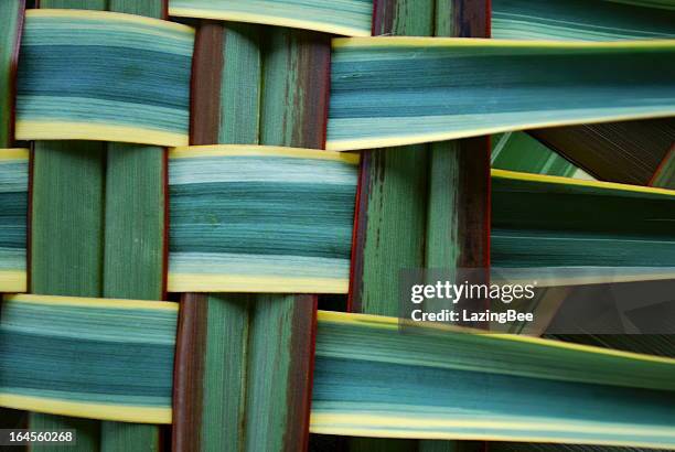 fondo tejido harakeke - maorí fotografías e imágenes de stock