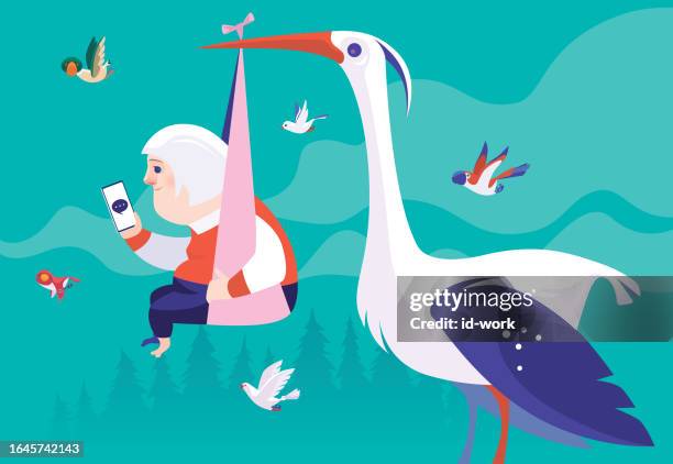 illustrations, cliparts, dessins animés et icônes de stork accouche d’une femme âgée - carrying in mouth