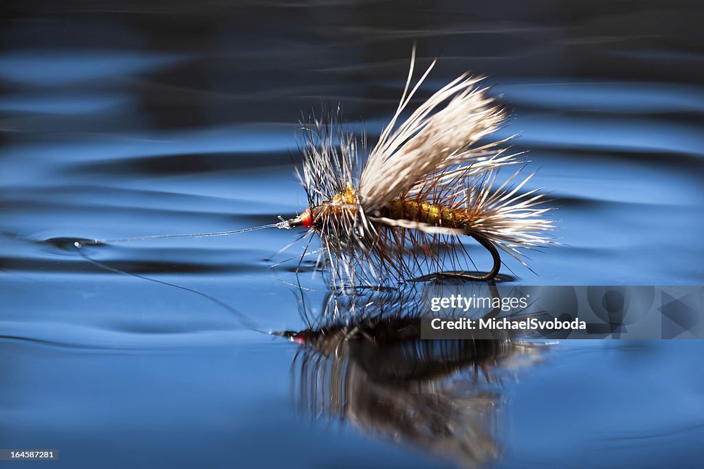 Dry Fly sulla superficie dell'acqua