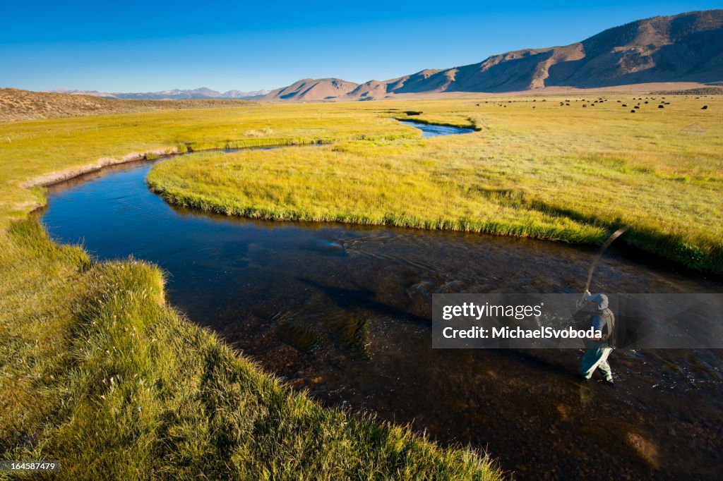 Fly Fishing on the Owens River