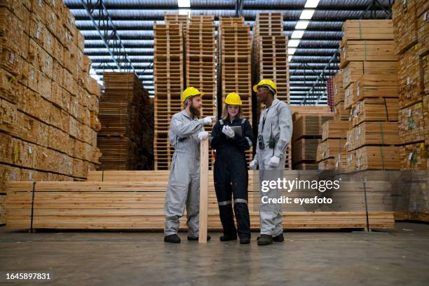 blue collar workers are working at wooden pallets factory. - pallet stockfoto's en -beelden