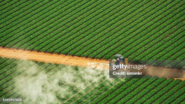 tractor spraying fertilizer - tractor stockfoto's en -beelden