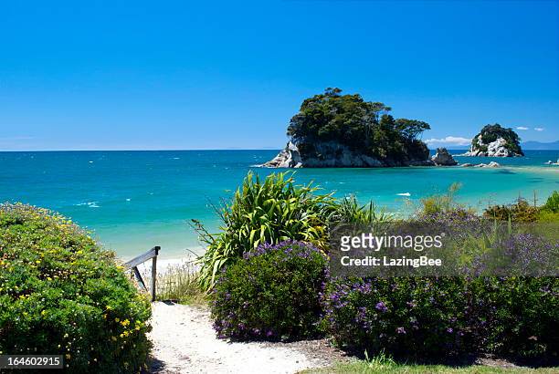 little kaiteriteri beach access, tasman region, new zealand - kaiteriteri stockfoto's en -beelden