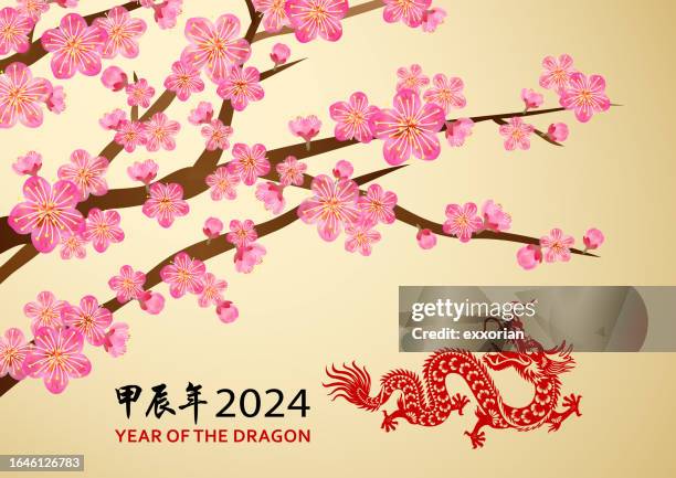 plum blossom of dragon year - looking back stock illustrations