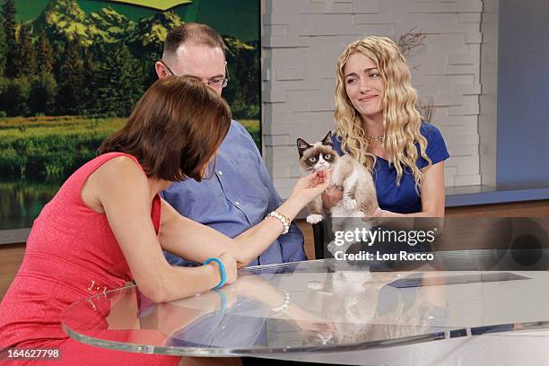 Internet sensation Grumpy Cat appears on "Good Morning America," 3/22/13, airing on the Walt Disney Television via Getty Images Television Network....