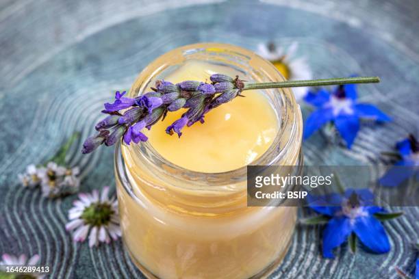 royal jelly - royal jelly stock pictures, royalty-free photos & images
