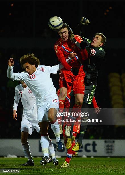 69 Anton Mitryushkin Stock Photos, HighRes Pictures, and Images