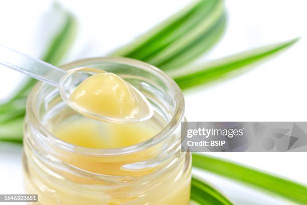 royal jelly - royal jelly stock pictures, royalty-free photos & images