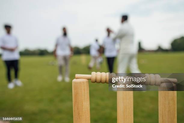 sunny cricket moments - cricket stock pictures, royalty-free photos & images
