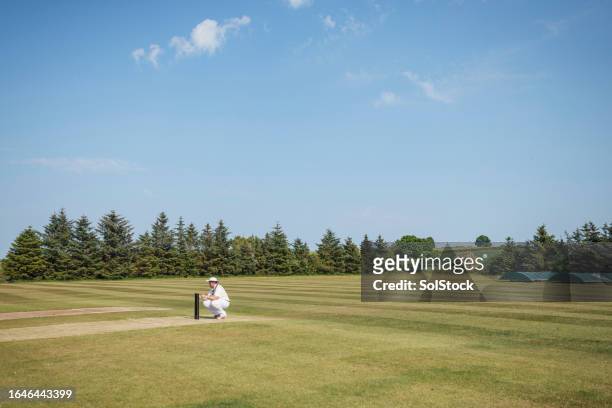 ready to catch - cricket field stock pictures, royalty-free photos & images