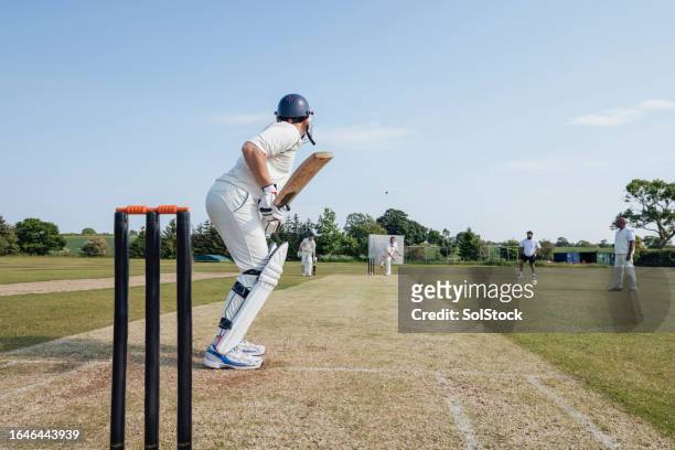 sunny cricket moments - cricketspeler stockfoto's en -beelden