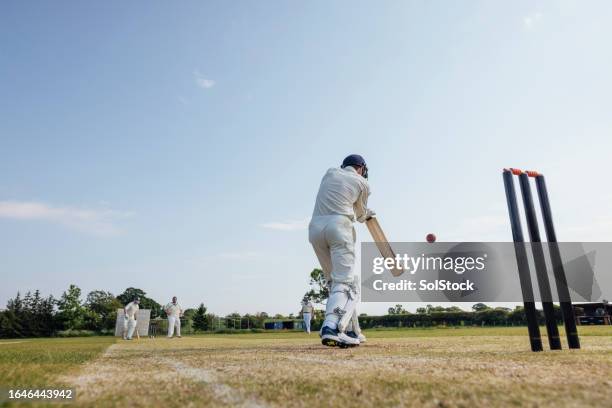 batting in cricket - cricket stock pictures, royalty-free photos & images