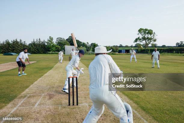 catching the cricket ball - cricket stock pictures, royalty-free photos & images