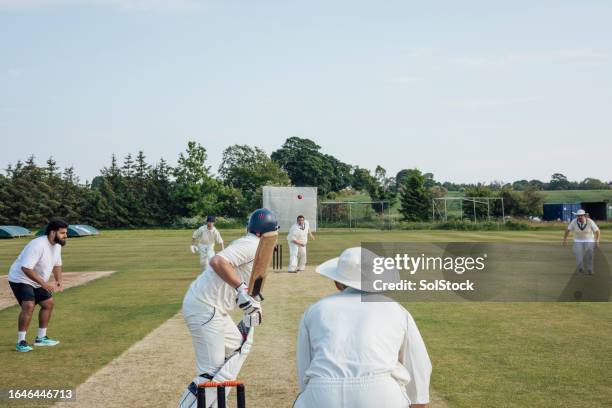 skilled cricket team - cricket team stock pictures, royalty-free photos & images