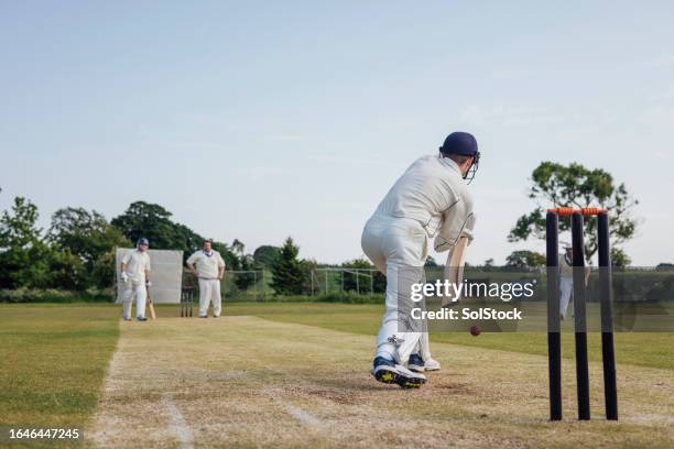 taking a shot - cricket ball stockfoto's en -beelden