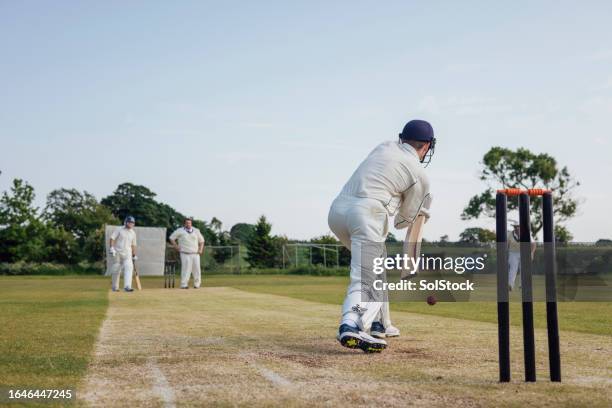 taking a shot - cricket bat stock pictures, royalty-free photos & images