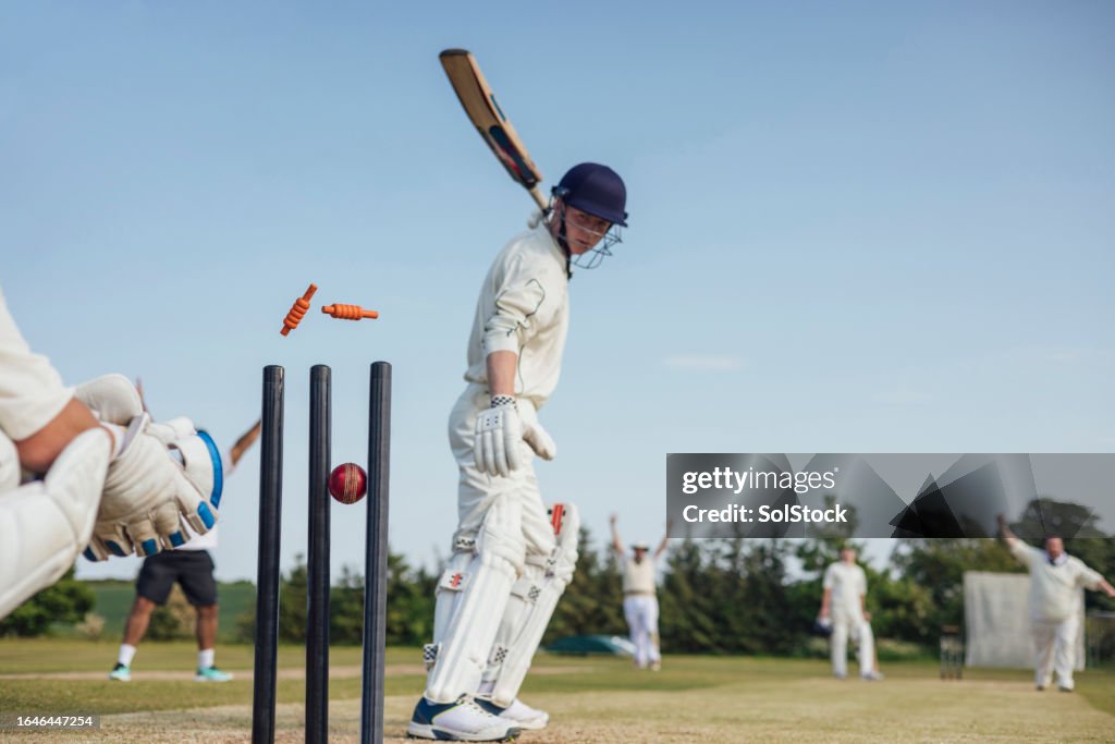 Hitting the Cricket Stump