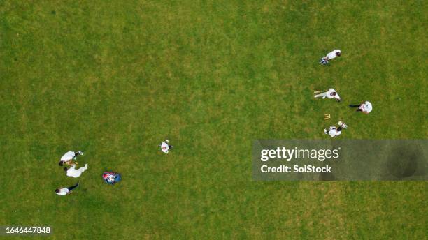 family friendly game - cricket game fun stockfoto's en -beelden