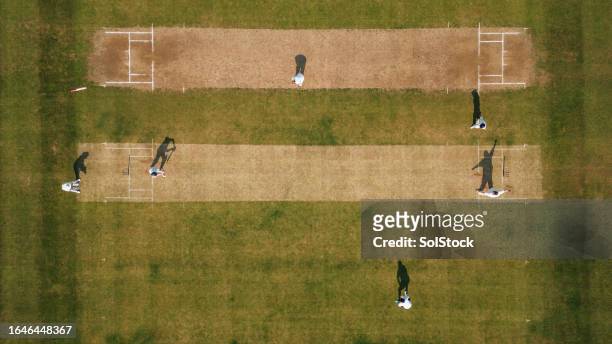 aerial view cricket game - cricket game fun stockfoto's en -beelden