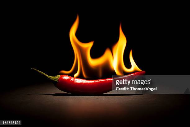 burning chili pepper - fire flame - chilis stockfoto's en -beelden