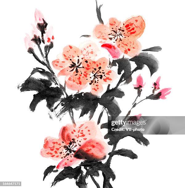 azalea flowers - flower ink stock illustrations