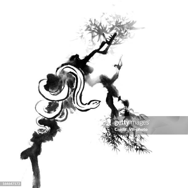 Snake Ina Tree Drawing 5,432 Snake In A Tree Stock Photos, High-Res Pictures, and Images ...