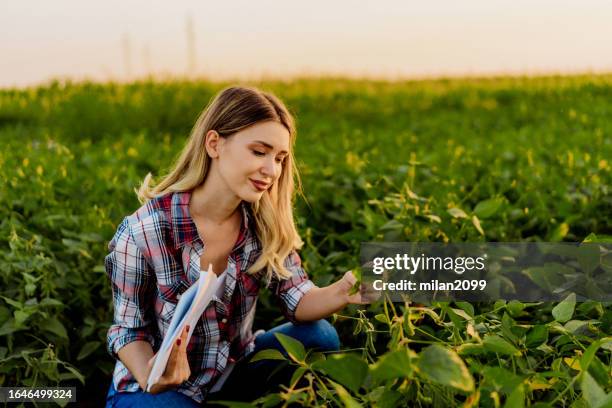 agriculcure - milan2099 stock pictures, royalty-free photos & images