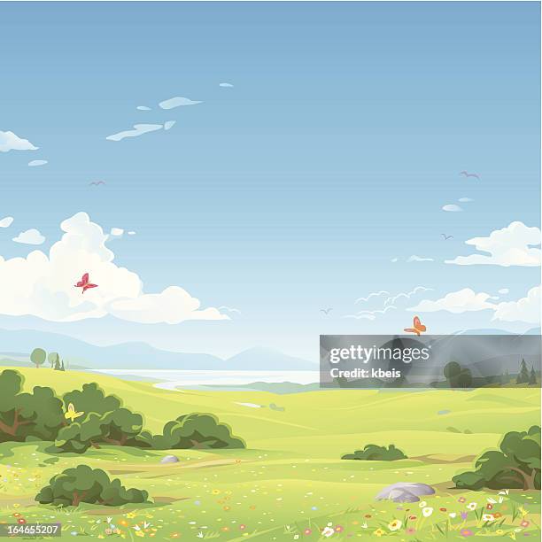 spring landscape - meadow stock illustrations