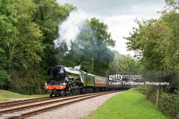 steam locomotive train in the sussex countryside - history and progress of the steam engine stock pictures, royalty-free photos & images
