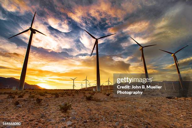 blowing in the wind - riverside county california stock pictures, royalty-free photos & images