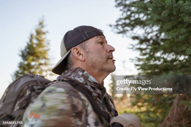 adult man hunting wild game in the forest - bow hunting stock pictures, royalty-free photos & images