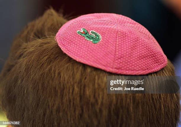 An alligator adorns a yamaka on a guests head as he takes part in a community Passover Seder at Beth Israel synagogue on March 25, 2013 in Miami...