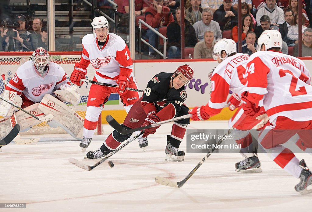 Detroit Red Wings v Phoenix Coyotes