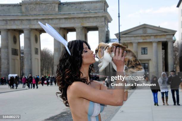 Micaela Schaefer poses with a rabbit during a photocall in front of the Brandenburg Gate on March 26, 2013 in Berlin, Germany.